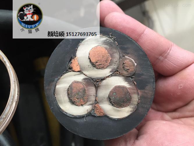 产品库 电气设备/工业电器 电线电缆 矿用电缆 mypt